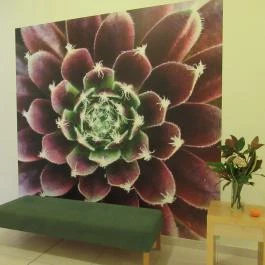 Saliris Kávézó, Egerszalók - Belső