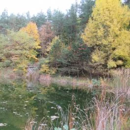 Saliris Resort Spa & Konferencia Hotel, Egerszalók - Környék