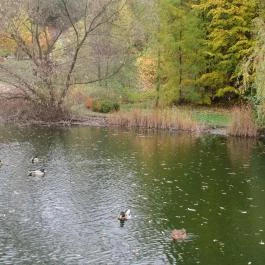 Saliris Resort Spa & Konferencia Hotel, Egerszalók - Környék