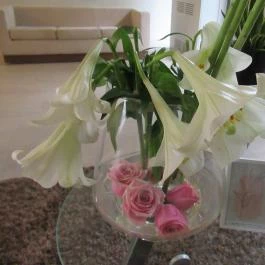 Hunguest Saliris, Egerszalók - Egyéb