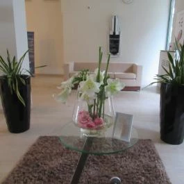 Hunguest Saliris, Egerszalók - Egyéb