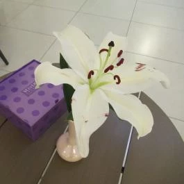 Saliris Szauna Bár Egerszalók - Egyéb