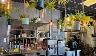 Saller Beer & Burger, Bicske