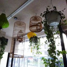 Sáo Food & Bar Budapest - Belső