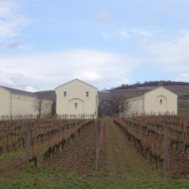 Sárga Borház Vendéglő, Mezőzombor - Külső kép