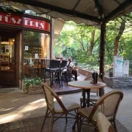 Sarki Fűszeres, Budapest - Egyéb