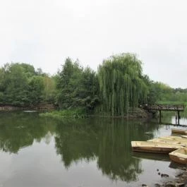 Sástó Gyöngyös - Egyéb