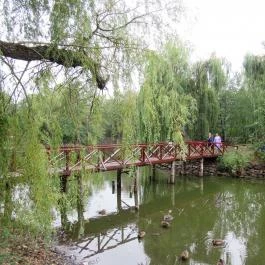 Sástó Gyöngyös - Egyéb