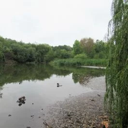 Sástó Gyöngyös - Egyéb