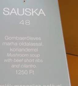 Sauska 48