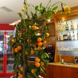 Sawasdee Thai Étterem Budapest - Belső