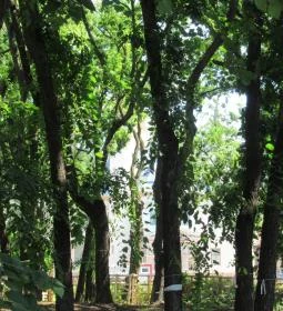 Schossberger-kastély