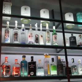 Schrödinger Macskája Pub Budapest - Egyéb