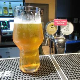 Schrödinger Macskája Pub Budapest - Egyéb