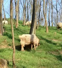 Seholsziget Élménypark