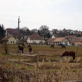 Seholsziget Élménypark Nőtincs - Egyéb
