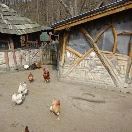 Seholsziget Élménypark Nőtincs - Egyéb