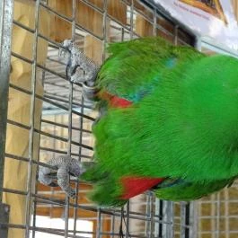 Seholsziget Élménypark Nőtincs - Egyéb