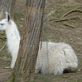 Seholsziget Élménypark Nőtincs - Egyéb