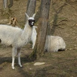 Seholsziget Élménypark Nőtincs - Egyéb