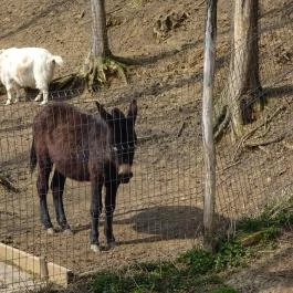 Seholsziget Élménypark Nőtincs - Egyéb