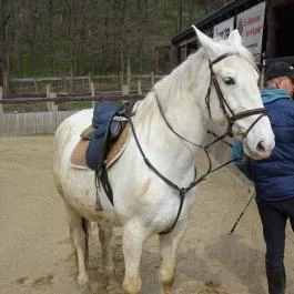 Seholsziget Élménypark Nőtincs - Egyéb