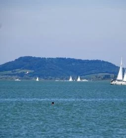 Sellő Büfé a Partybüfé