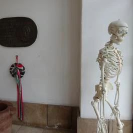 Semmelweis Orvostörténeti Múzeum, Könyvtár és Levéltár Budapest - Egyéb