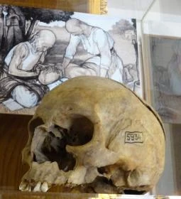 Semmelweis Orvostörténeti Múzeum, Könyvtár és Levéltár