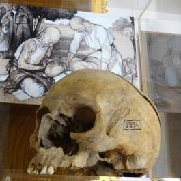 Semmelweis Orvostörténeti Múzeum, Könyvtár és Levéltár Budapest - Egyéb