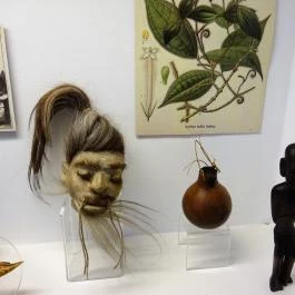 Semmelweis Orvostörténeti Múzeum, Könyvtár és Levéltár Budapest - Egyéb