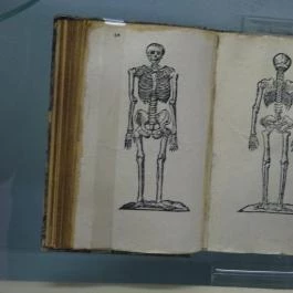 Semmelweis Orvostörténeti Múzeum, Könyvtár és Levéltár Budapest - Egyéb