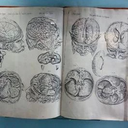 Semmelweis Orvostörténeti Múzeum, Könyvtár és Levéltár Budapest - Egyéb