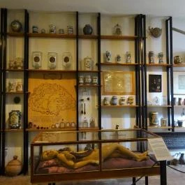 Semmelweis Orvostörténeti Múzeum, Könyvtár és Levéltár Budapest - Egyéb