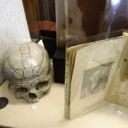 Semmelweis Orvostörténeti Múzeum, Könyvtár és Levéltár Budapest - Egyéb