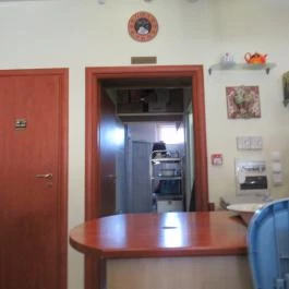 Sétány Kávézó és Palacsintázó, Hajdúszoboszló - Egyéb