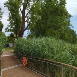 Sétány Kávézó, Pékség & Fagyizó Budapest - Külső kép