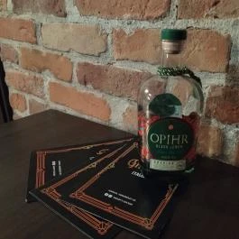 Shelby's Gin Bar Sopron - Étel/ital