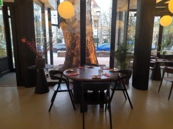 Shibuya Budapest Budapest