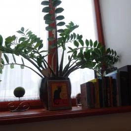 Sigil Galéria & Kávézó, Nagymaros - Belső