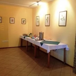 Simon Panzió Agárd - Vendéglátás