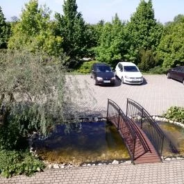 Simon Panzió Agárd - Medence/kert