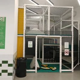 SIMON'S BURGER FLAGSHIP, Budapest - Belső