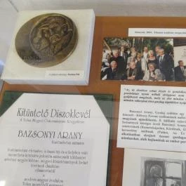 Simontornyai Vár, Simontornya - Egyéb