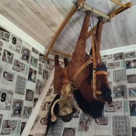 Siófoki Fordított Ház, Siófok - Egyéb