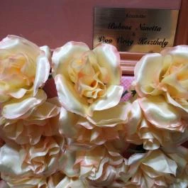 Sissy Kávézó & Fagylaltozó, Hévíz - Egyéb