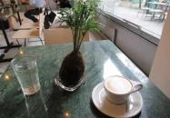 SixLetter Coffee Co. Budapest