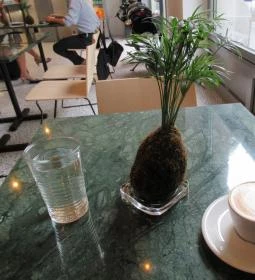 SixLetter Coffee Co.