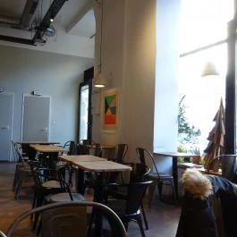 Skal, Budapest - Belső