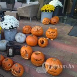 Smaragd Cafe Shop - MenDan Magic Spa & Wellness Hotel, Zalakaros - Egyéb